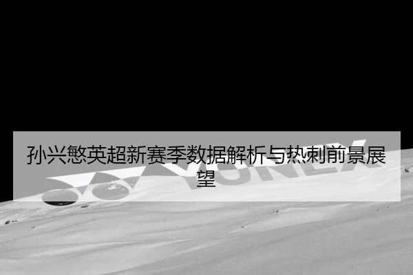 孙兴慜英超新赛季数据解析与热刺前景展望